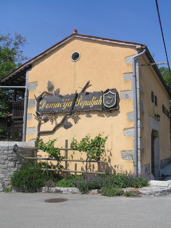 Guesthouse Domacija Sajna Sežana Exterior foto